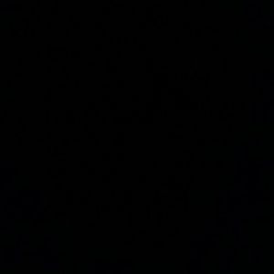 Meet your Posher, Flores