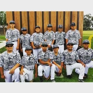 Meet your Posher, George