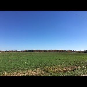 Meet your Posher, Lexie