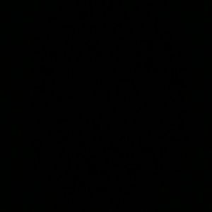 Meet your Posher, Reeko