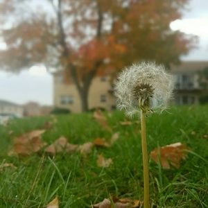 Meet your Posher, Saad