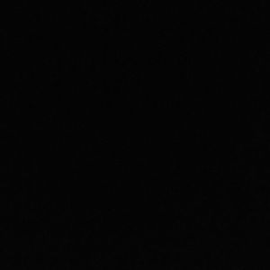 Meet your Posher, Larry