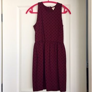 Jcrew Polka Dot Dress