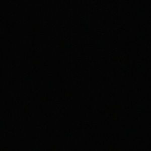 Meet your Posher, Lexi