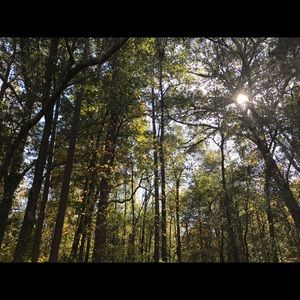 Meet your Posher, Deer