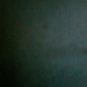 Meet your Posher, Tasia