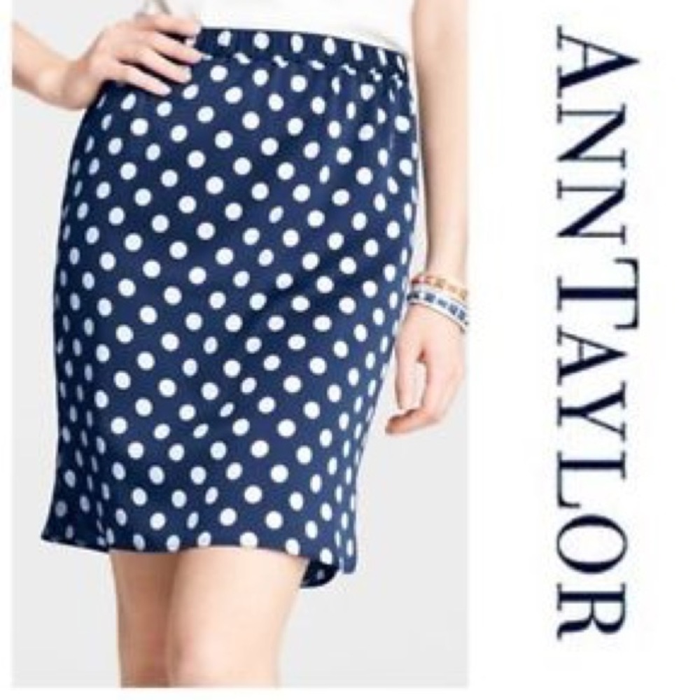 Ann Taylor Skirt