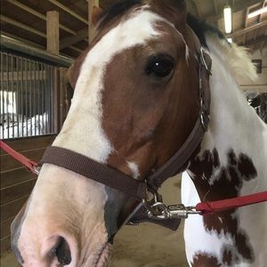 Meet your Posher, Emma