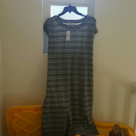 XL Loft dress