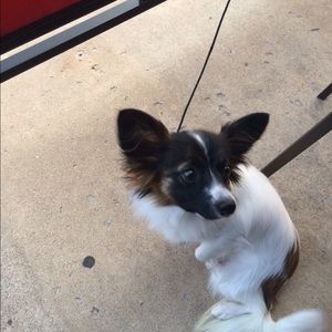 Meet your Posher, Kimberly