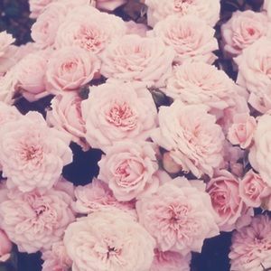 Meet your Posher, Charity