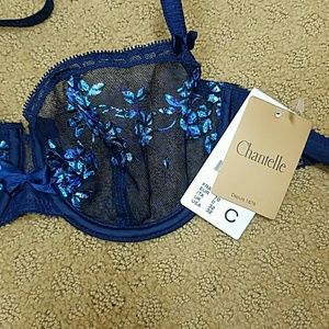 Chantelle 32c mesh demi bra,  blue nwt