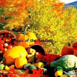 Meet your Posher, Tracie