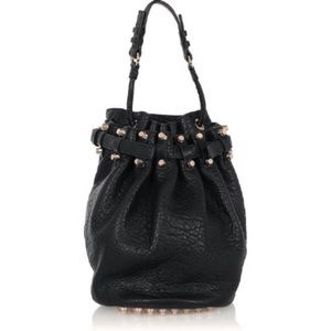 NWT Alexander Wang Diego Bucket Bag