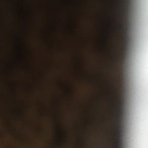 Meet your Posher, Summer