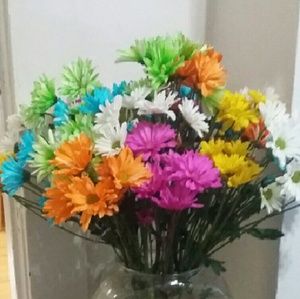 Meet your Posher, Tabitha