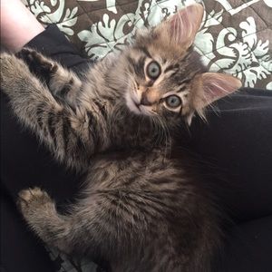 Meet your Posher, Beth