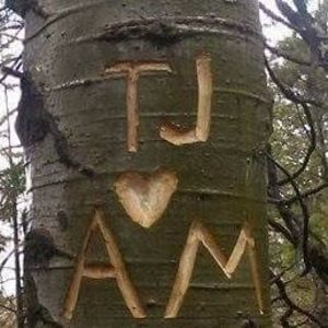 Meet your Posher, Audrey