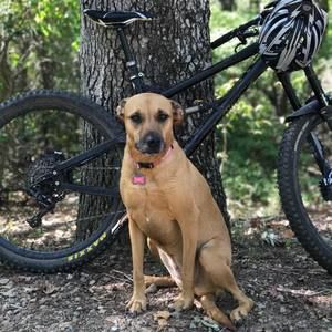 Meet your Posher, Jill