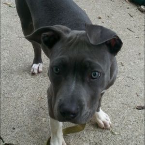 Meet your Posher, Blayne