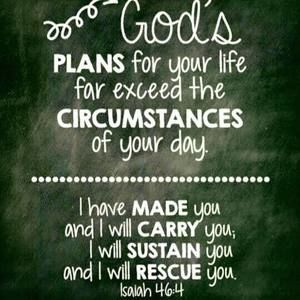 Meet your Posher, Lynnette