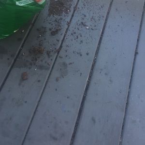 Meet your Posher, Ian