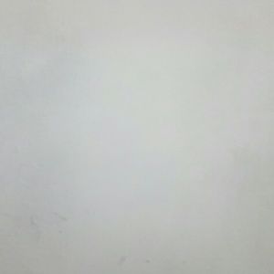 Meet your Posher, Iris