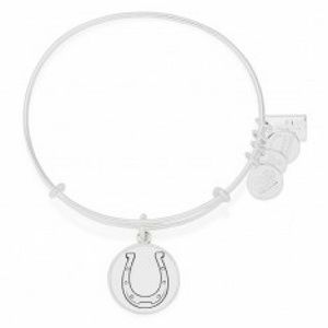 Alex and Ani Kentucky Derby Horseshoe bracelet