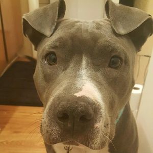 Meet your Posher, Byron