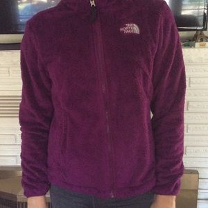 Purple Northface