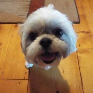 Meet your Posher, Carrie