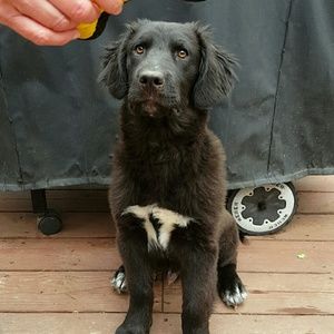 Meet your Posher, Christopher