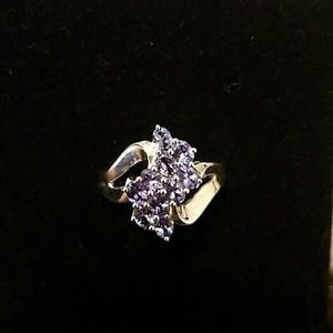 Costume, Purple and Silver ring