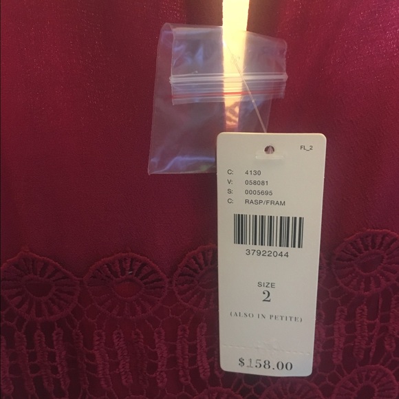 Anthropologie Raspberry Dress - Picture 3 of 3