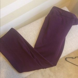 Eggplant Calvin Klein Dresspants
