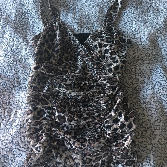 Express leopard tank - Picture 3 of 4