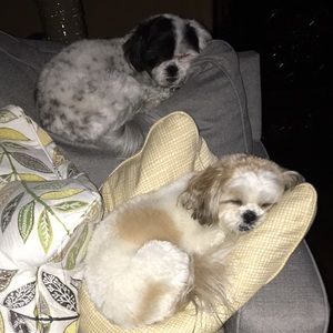 Meet your Posher, Heather