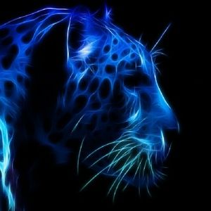 Meet your Posher, Deeeeejaay