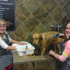 Meet your Posher, Gary