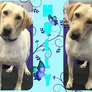 Meet your Posher, Amy