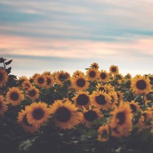 Meet your Posher, Abril