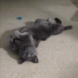 Meet your Posher, Alexis