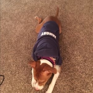 Meet your Posher, Li