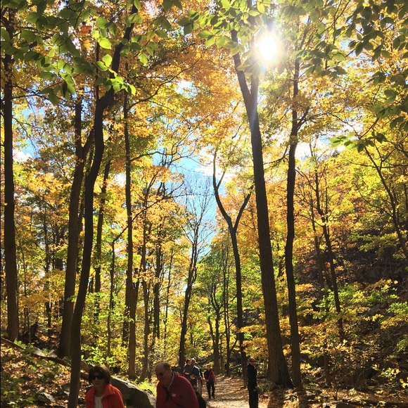 Meet your Posher, Mattea