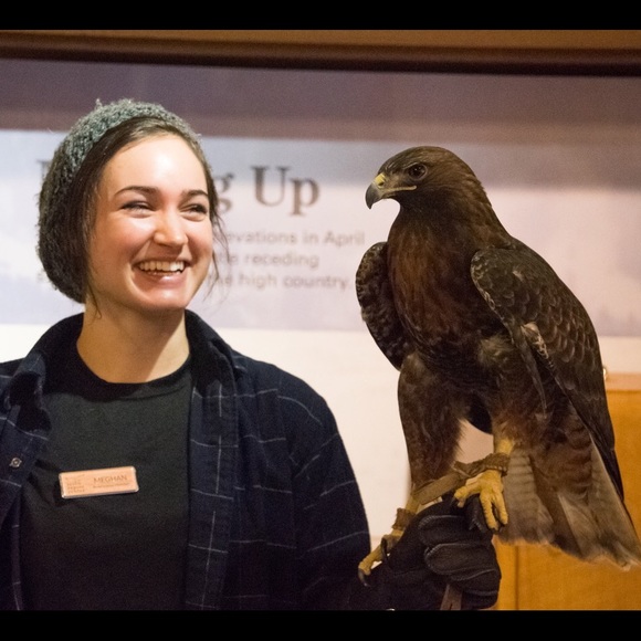 Meet your Posher, Meghan - Picture 4 of 4