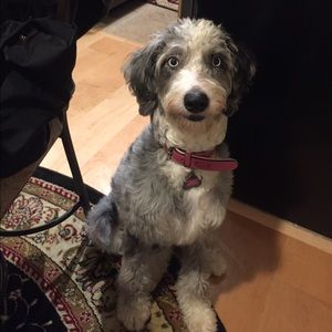 Meet your Posher, Aaloki