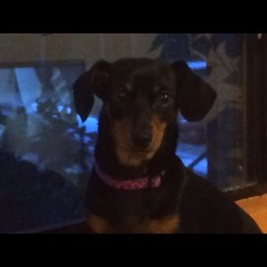 Meet your Posher, Ellen