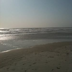 Meet your Posher, Chastity