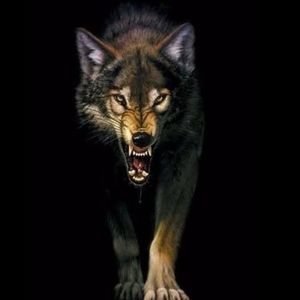 Meet your Posher, Marta