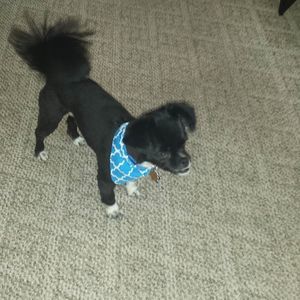 Meet your Posher, Mary